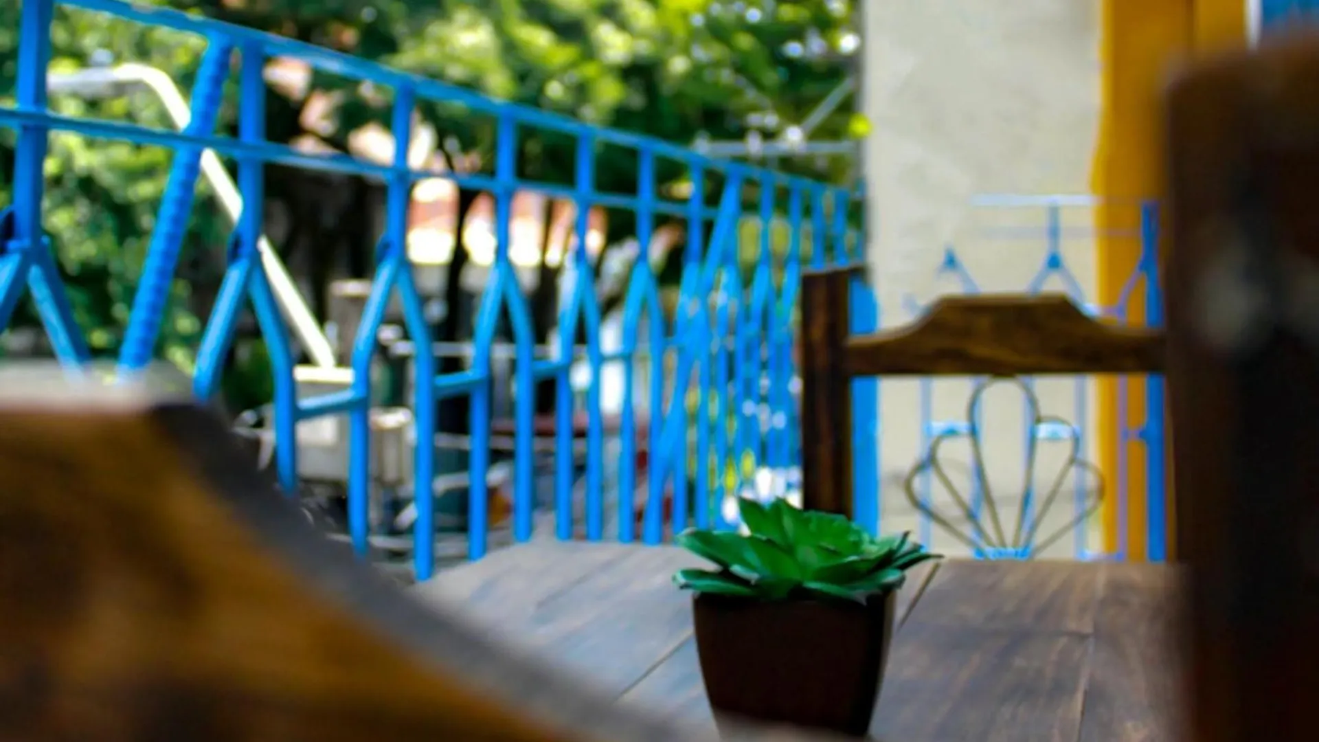 Casa Mostaza Bed and Breakfast Medellín Colombia