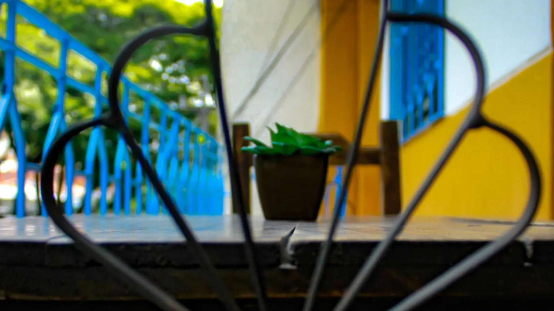 Casa Mostaza Bed and Breakfast Medellín Colombia